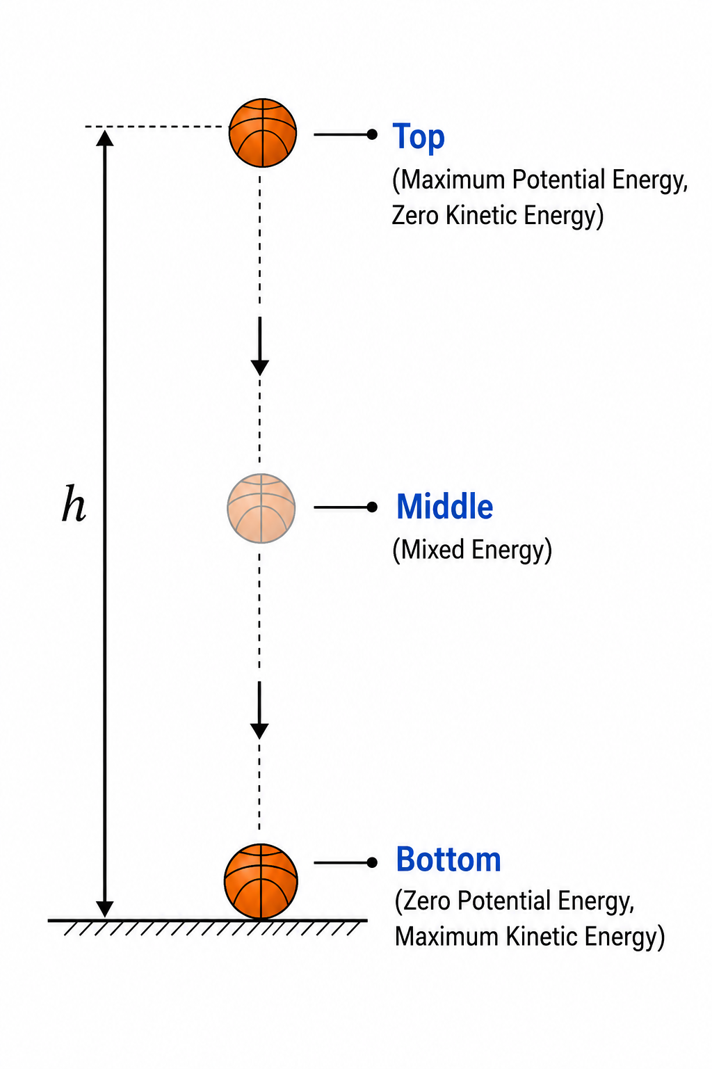 Free Fall and Conservation of Energy Diagram